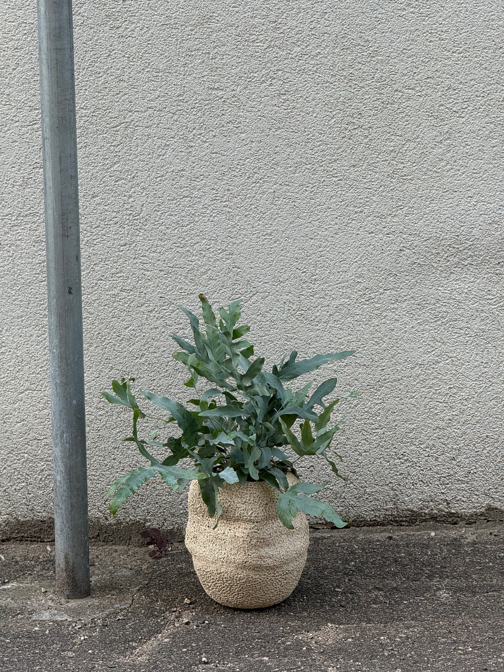 Seaside Sand Vase, 2025