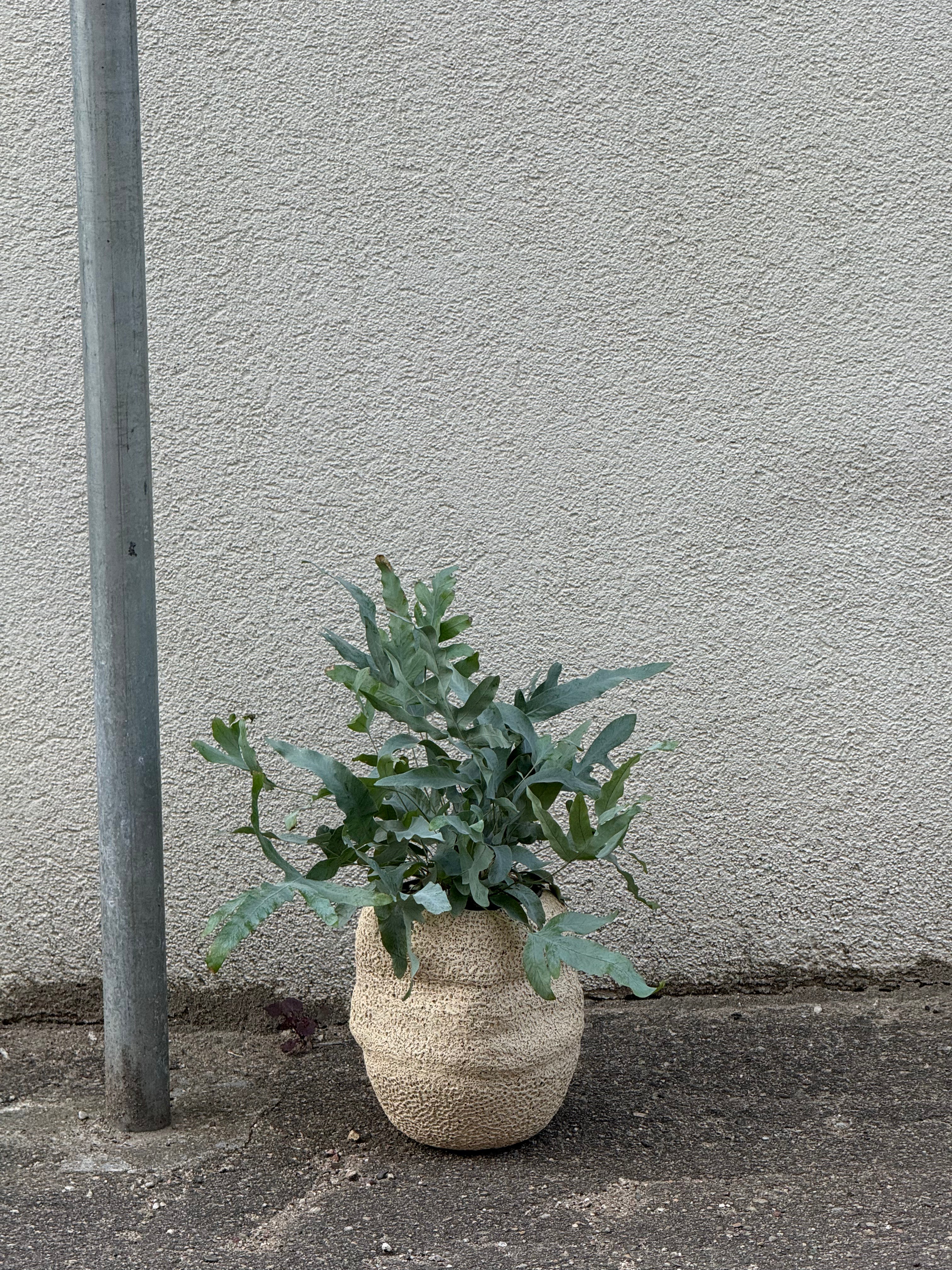 Seaside Sand Vase, 2025