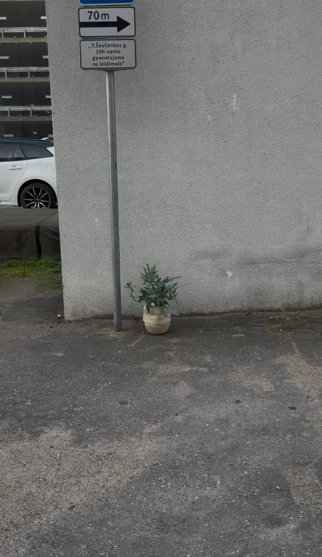 Seaside Sand Vase, 2025